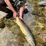 Penzion Kmecki Hram Fortuna Idrija