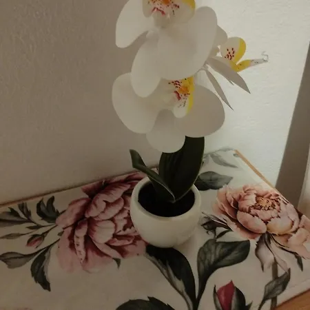 Kmecki Hram Fortuna Idrija