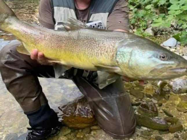 Kmecki Hram Fortuna 3*