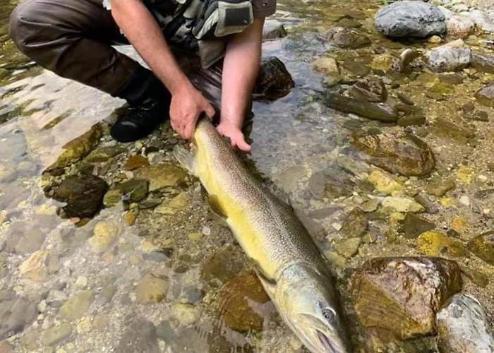 ゲストハウス Kmecki Hram Fortuna イドリヤ